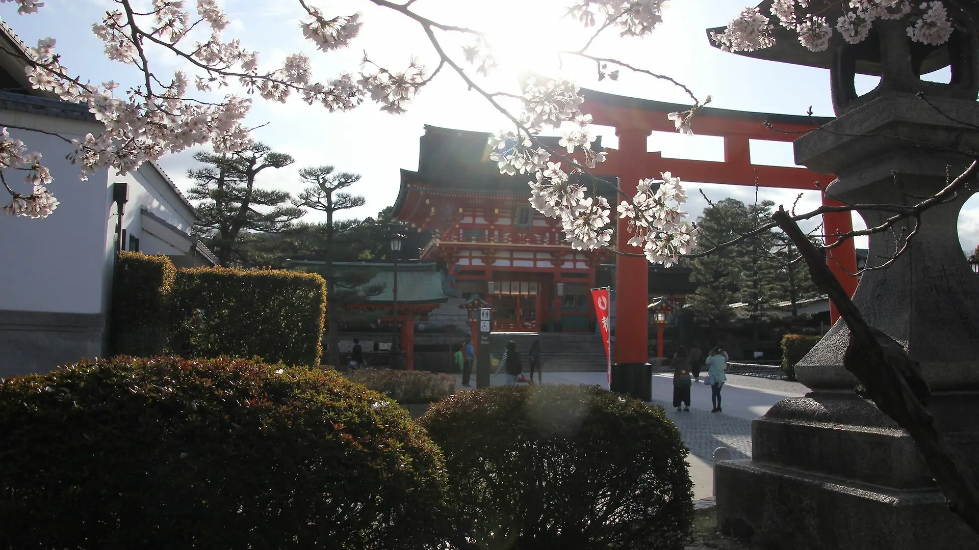 Stay Sakura Kyoto Machiya Akari Japan