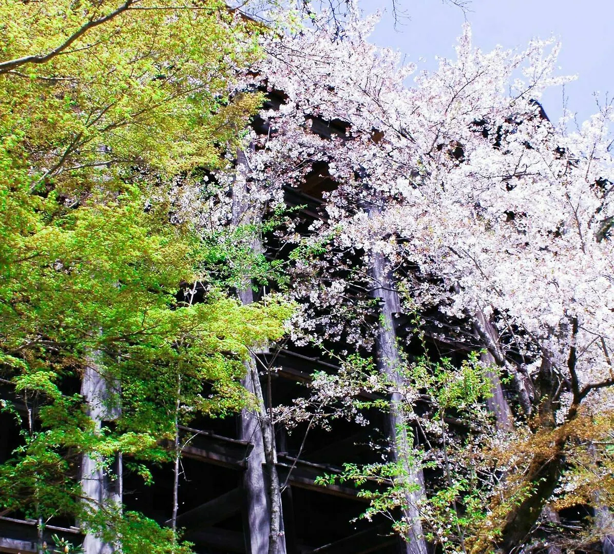 Stay Sakura Kyoto Machiya Akari Holiday home